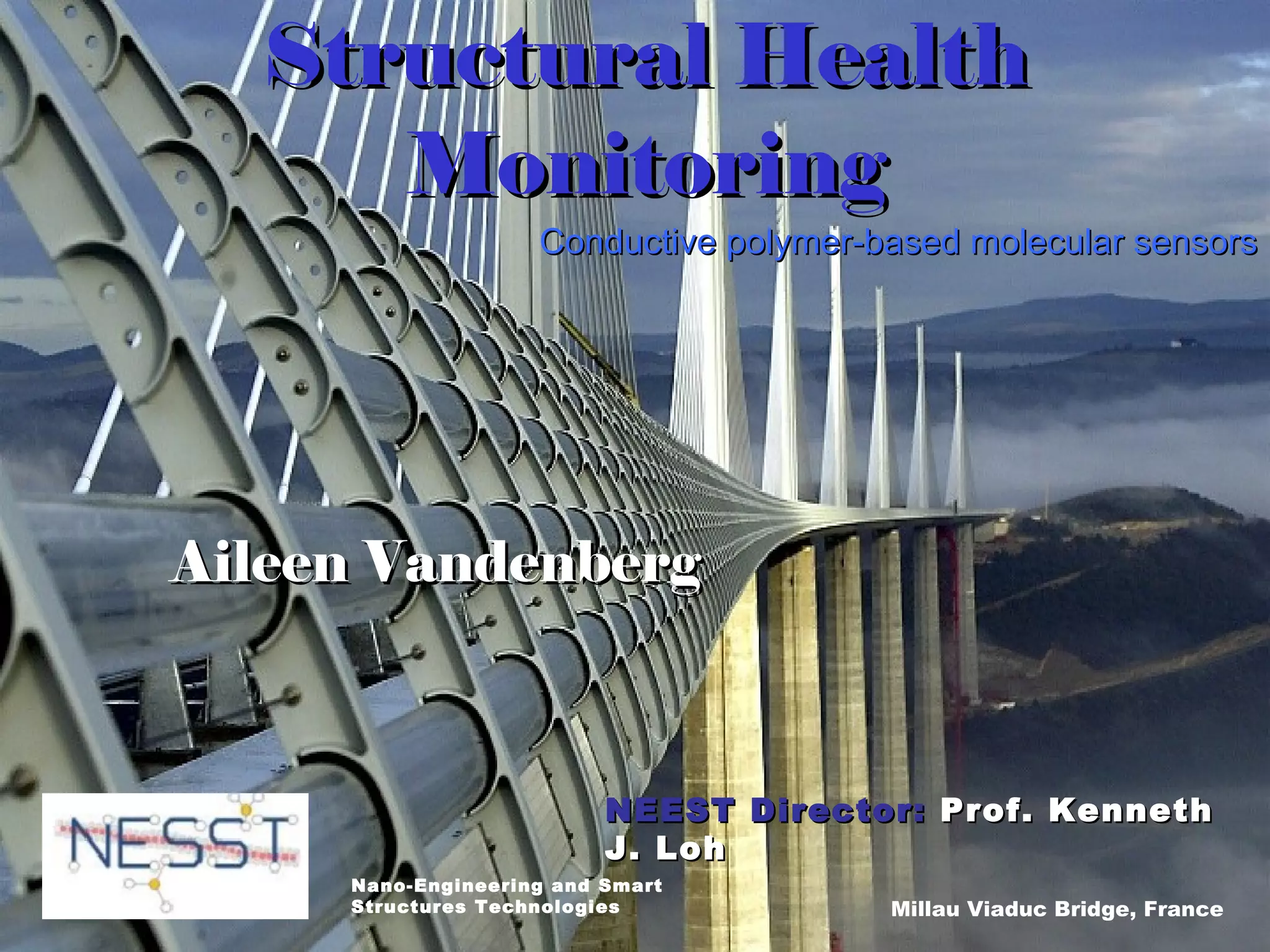 Structural Health Monitoring Presentation | PPT