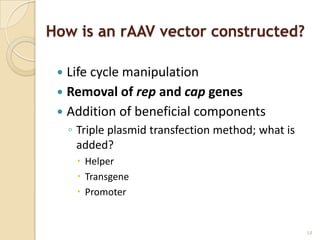 How is an rAAV vector constructed?

  Life cycle manipulation
  Removal of rep and cap genes
  Addition of beneficial components
     ◦ Triple plasmid transfection method; what is
       added?
       Helper
       Transgene
       Promoter


                                                     14
 