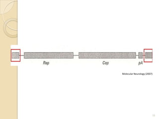Molecular Neurology (2007)




                         15
 