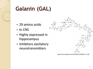 Galanin (GAL)

 29 amino acids
 In CNS
 Highly expressed in
  hippocampus
 Inhibitors excitatory
  neurotransmitters
                          www.chemicalbook.com/CASGIF142846-71-7.gif




                                                                     24
 