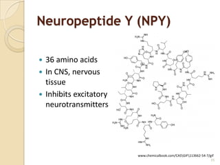 Neuropeptide Y (NPY)

 36 amino acids
 In CNS, nervous
  tissue
 Inhibits excitatory
  neurotransmitters




                        www.chemicalbook.com/CASGIF113662-54-7/gif
                                                                  25
 