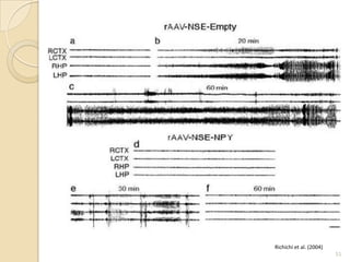 Richichi et al. (2004)
                         51
 