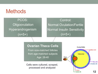 Methods
Ovarian Theca Cells
From size-matched follicles
from age-matched subjects
Age: 28-40
PCOS:
Oligoovulation
Hyperandrogenism
(n=5+)
Control:
Normal Ovulation/Fertile
Normal Insulin Sensitivity
(n=5+)
12
Cells were cultured, scraped,
processed and analyzed
 