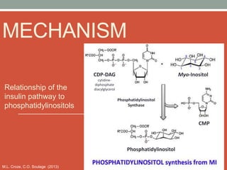 MECHANISM
Relationship of the
insulin pathway to
phosphatidylinositols
Phosphatidylinositol
Synthase
Myo-Inositol
CMP
Phosphatidylinositol
CDP-DAG
cytidine-
diphosphate
diacylglycerol
M.L. Croze, C.O. Soulage (2013)
 