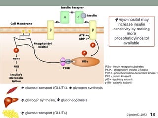 18Coustan D.,2013
 myo-inositol may
increase insulin
sensitivity by making
more
phosphatidylinositol
available
 glucose transport (GLUT4),  glycogen synthesis
 glycogen synthesis,  gluconeogenesis
 glucose transport (GLUT4)
IRSs - insulin receptor substrates
P13K - phosphatidyl inositol 3-kinase
PDK1 - phosphoinositide-dependent kinase 1
PKB - protein kinase B
p85 - regulatory subunit
p110 - catalytic subunit
 