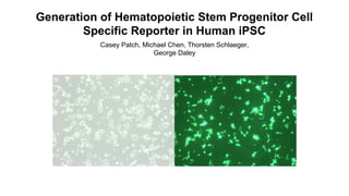 Generation of Hematopoietic Stem Progenitor Cell
Specific Reporter in Human iPSC
Casey Patch, Michael Chen, Thorsten Schlaeger,
George Daley
 