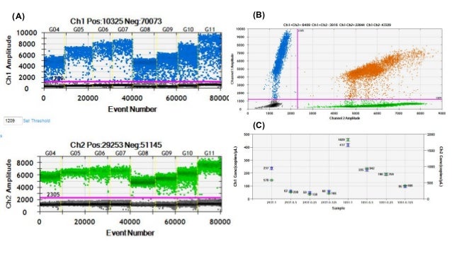 Thesis seminar syllabus picture