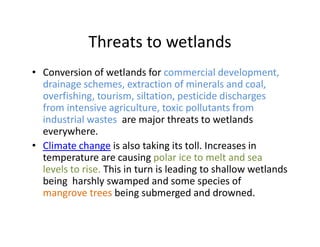 Threats to wetlands
• Conversion of wetlands for commercial development,
drainage schemes, extraction of minerals and coal,
overfishing, tourism, siltation, pesticide discharges
from intensive agriculture, toxic pollutants from
industrial wastes are major threats to wetlandsindustrial wastes are major threats to wetlands
everywhere.
• Climate change is also taking its toll. Increases in
temperature are causing polar ice to melt and sea
levels to rise. This in turn is leading to shallow wetlands
being harshly swamped and some species of
mangrove trees being submerged and drowned.
 