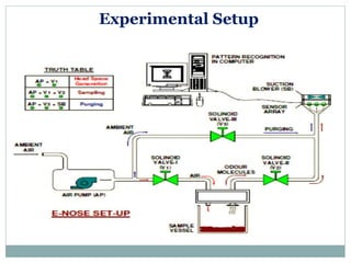 Experimental Setup
 