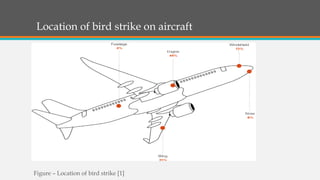 Effect of bird strike on Jet Engine | PPTX