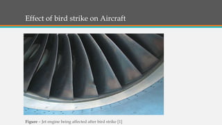 Effect of bird strike on Jet Engine | PPTX