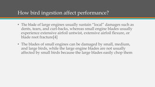 Effect of bird strike on Jet Engine | PPTX