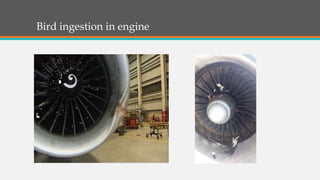 Effect of bird strike on Jet Engine | PPTX