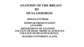 ANATOMY OF THE BREAST
BY
MUSA GERSHOM
BMS/16/ANT/00246
SEMINAR PRESENTATION
(ANA4209)
DEPARTMENT OF ANATOMY
FACULTY OF BASIC MEDICAL SCIENCES,
COLLEGE OF HEALTH SCIENCE,
BAYERO UNIVERSITY, KANO.
 