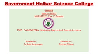 Government Holkar Science College
SEMINAR
Session – 2022-23
M.SC BOTANY – Prev 1ST Semester
TOPIC : CYANOBACTERIA- Ultrastructure, Reproduction & Economic Importance
Submitted to:- Submitted by :-
Dr Smita Dubey ma’am Shubham Shivnani
 