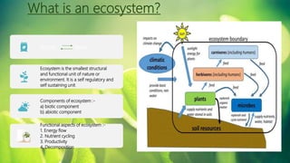 Seminar presentation ecological energy flow in eco system | PPTX