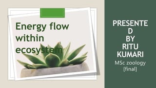 PRESENTE
D
BY
RITU
KUMARI
MSc zoology
[final]
Energy flow
within
ecosystem
 