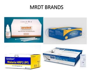 MRDT BRANDS
 
