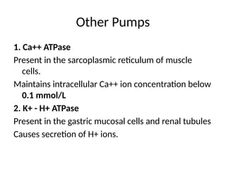 Active Transport Passive Transport Transport Process.pptx