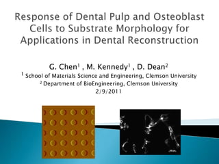 Response of Dental Pulp and Osteoblast Cells to Substrate Morphology for Applications in Dental Reconstruction G. Chen1 , M. Kennedy1 , D. Dean2  1 School of Materials Science and Engineering, Clemson University 2 Department of BioEngineering, Clemson University 2/8/2011 