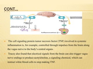 CONT...
 The cell signaling protein tumor necrosis factor (TNF) involved in systemic
inflammation is, for example, controlled through impulses from the brain along
the vagus nerve to the body’s central organs.
 Tracey also found that electrical signals from the brain can also trigger vagus
nerve endings to produce acetylcholine, a signaling chemical, which can
instruct white blood cells to stop making TNF.
 