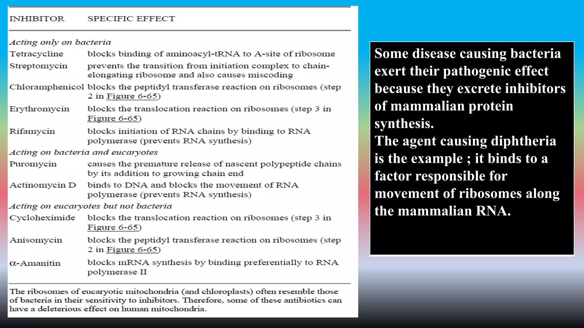 Some disease causing bacteria
exert their pathogenic effect
because they excrete inhibitors
of mammalian protein
synthesis.
The agent causing diphtheria
is the example ; it binds to a
factor responsible for
movement of ribosomes along
the mammalian RNA.
 