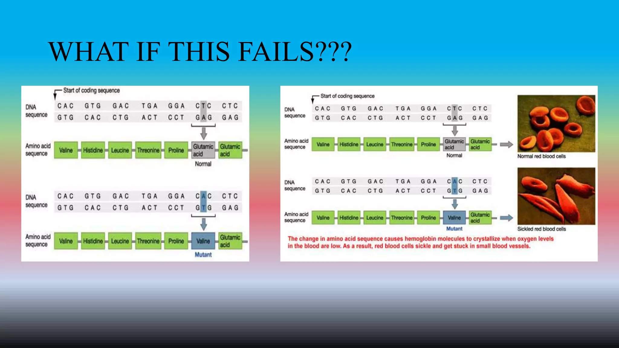 WHAT IF THIS FAILS???
 