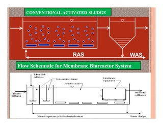 Membrane Bio-Rective for Wastewater | PDF
