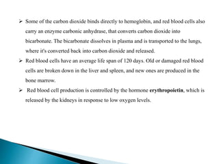  Some of the carbon dioxide binds directly to hemoglobin, and red blood cells also
carry an enzyme carbonic anhydrase, that converts carbon dioxide into
bicarbonate. The bicarbonate dissolves in plasma and is transported to the lungs,
where it's converted back into carbon dioxide and released.
 Red blood cells have an average life span of 120 days. Old or damaged red blood
cells are broken down in the liver and spleen, and new ones are produced in the
bone marrow.
 Red blood cell production is controlled by the hormone erythropoietin, which is
released by the kidneys in response to low oxygen levels.
 
