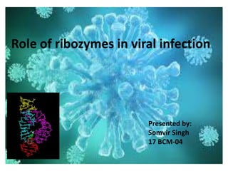 Role of ribozymes in viral infection
Presented by:
Somvir Singh
17 BCM-04
 
