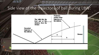 Side view of the trajectory of ball during LBW:
 