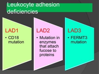 Leukocyte adhesion
deficiencies
LAD1
• CD18
mutation
LAD2
• Mutation in
enzymes
that attach
fucose to
proteins
LAD3
• FERMT3
mutation
 