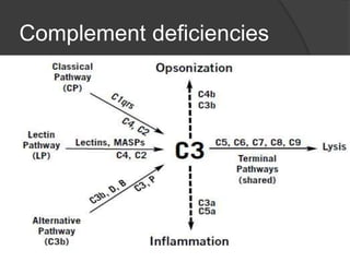 Complement deficiencies
 