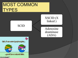 MOST COMMON
TYPES
SCID
XSCID (X
linked )
Adenosine
deaminase
(ADA)
 