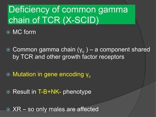 Deficiency of common gamma
chain of TCR (X-SCID)
 MC form
 Common gamma chain (γc ) – a component shared
by TCR and other growth factor receptors
 Mutation in gene encoding γc
 Result in T-B+NK- phenotype
 XR – so only males are affected
 
