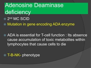 Adenosine Deaminase
deficiency
 2nd MC SCID
 Mutation in gene encoding ADA enzyme
 ADA is essential for T-cell function : Its absence
cause accumulation of toxic metabolites within
lymphocytes that cause cells to die
 T-B-NK- phenotype
 