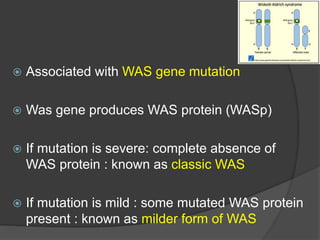  Associated with WAS gene mutation
 Was gene produces WAS protein (WASp)
 If mutation is severe: complete absence of
WAS protein : known as classic WAS
 If mutation is mild : some mutated WAS protein
present : known as milder form of WAS
 