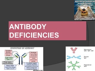 ANTIBODY
DEFICIENCIES
 