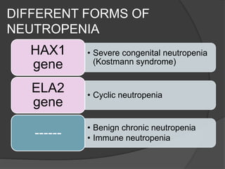 DIFFERENT FORMS OF
NEUTROPENIA
• Severe congenital neutropenia
(Kostmann syndrome)
HAX1
gene
• Cyclic neutropenia
ELA2
gene
• Benign chronic neutropenia
• Immune neutropenia------
 