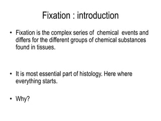 Fixation | PPTX