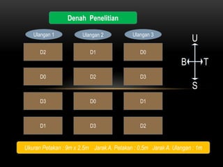 Denah Penelitian

   Ulangan 1           Ulangan 2           Ulangan 3
                                                                   U
      D2                  D1                  D0

                                                               B           T
      D0                  D2                  D3
                                                                   S
      D3                  D0                  D1



      D1                  D3                  D2


Ukuran Petakan : 9m x 2,5m Jarak A. Petakan : 0,5m Jarak A. Ulangan : 1m
 