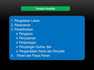 Tahapan Penelitian



1. Pengolahan Lahan
2. Penanaman
3. Pemeliharaan
     Pengairan
     Penyulaman
     Penjarangan
     Penyiangan Gulma, dan
     Pengendalian Hama dan Penyakit
4. Panen dan Pasca Panen
 