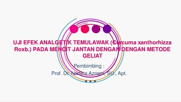 Uji Efek Analgetik Temulawak Curcuma xanthorhizza Roxb 