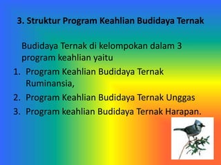 3. Struktur Program Keahlian Budidaya Ternak
Budidaya Ternak di kelompokan dalam 3
program keahlian yaitu
1. Program Keahlian Budidaya Ternak
Ruminansia,
2. Program Keahlian Budidaya Ternak Unggas
3. Program keahlian Budidaya Ternak Harapan.
 