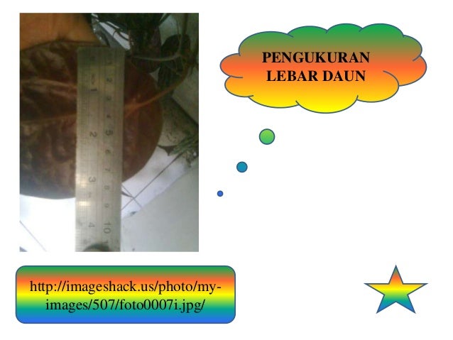 Proposal penelitian biologi Proposal penelitian biologi
