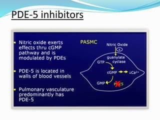 PDE-5 inhibitors
 