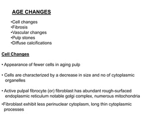 AGE CHANGES
•Cell changes
•Fibrosis
•Vascular changes
•Pulp stones
•Diffuse calcifications
Cell Changes
• Appearance of fewer cells in aging pulp
• Cells are characterized by a decrease in size and no of cytoplasmic
organelles
• Active pulpal fibrocyte (or) fibroblast has abundant rough-surfaced
endoplasmic reticulum notable golgi complex, numerous mitochondria
•Fibroblast exhibit less perinuclear cytoplasm, long thin cytoplasmic
processes
 