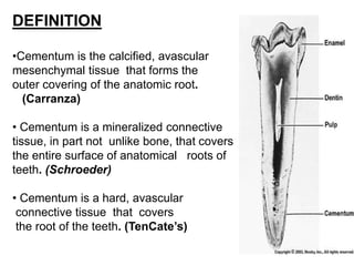 DEFINITION
•Cementum is the calcified, avascular
mesenchymal tissue that forms the
outer covering of the anatomic root.
(Carranza)
• Cementum is a mineralized connective
tissue, in part not unlike bone, that covers
the entire surface of anatomical roots of
teeth. (Schroeder)
• Cementum is a hard, avascular
connective tissue that covers
the root of the teeth. (TenCate’s)
 