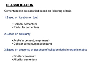 Cementum can be classified based on following criteria
1.Based on location on teeth
• Coronal cementum
• Radicular cementum
2.Based on cellularity
• Acellular cementum (primary)
• Cellular cementum (secondary)
CLASSIFICATION
3.Based on presence or absence of collagen fibrils in organic matrix
• Fibrillar cementum
• Afibrillar cementum
 