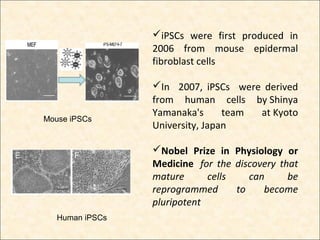 human induced pluripotent stem cells in cancer treatment | PPT